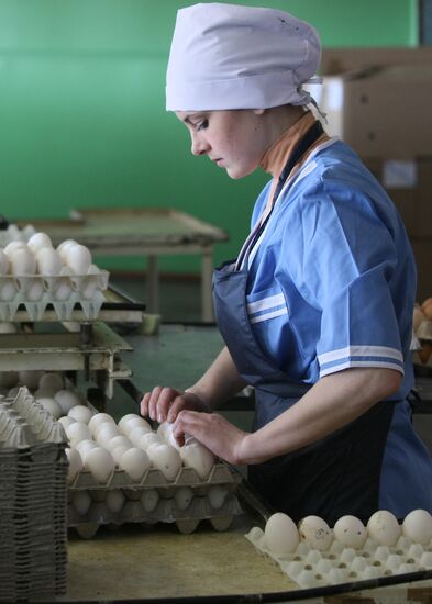 Poultry plant in Novosibirsk region