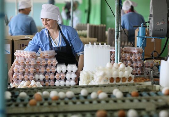 Poultry plant in Novosibirsk region