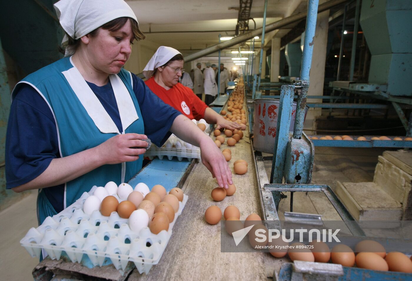 Poultry farm in Novosibirsk Region