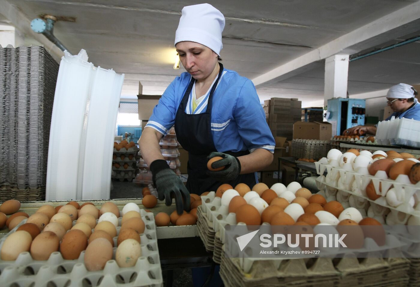 Poultry plant in Novosibirsk region