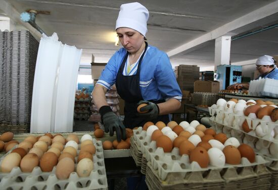 Poultry plant in Novosibirsk region