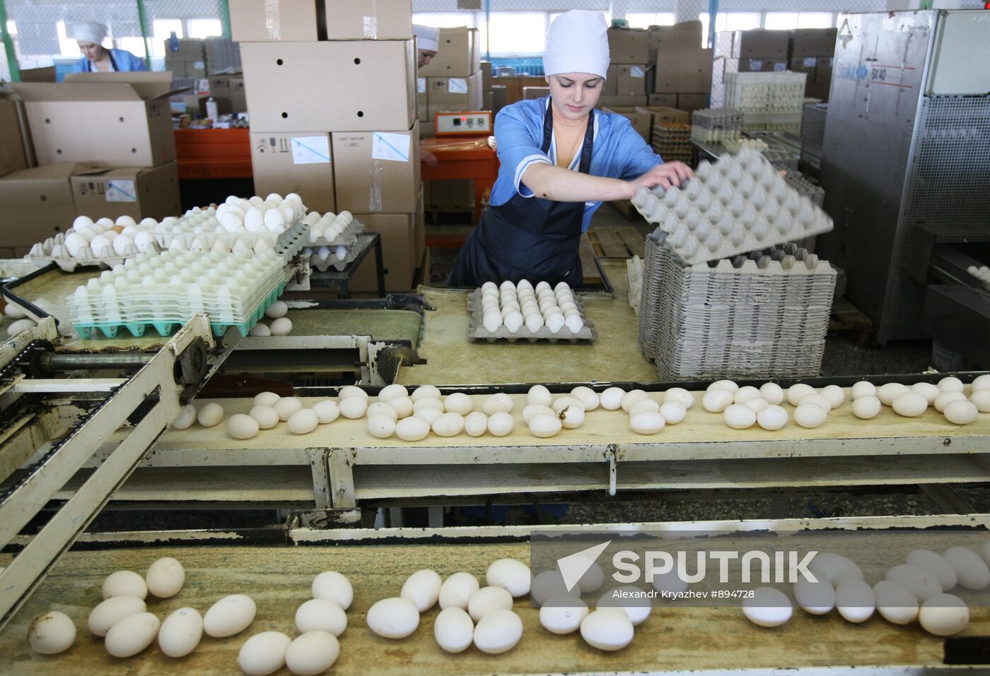 Poultry plant in Novosibirsk region
