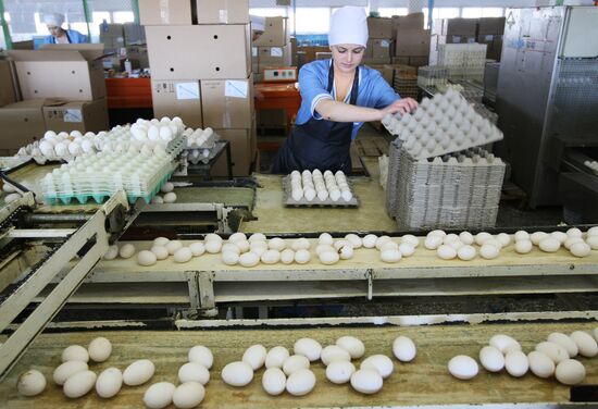 Poultry plant in Novosibirsk region