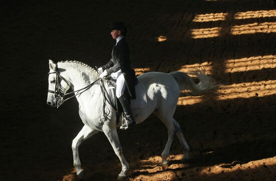 Novosibirsk Equestrian school