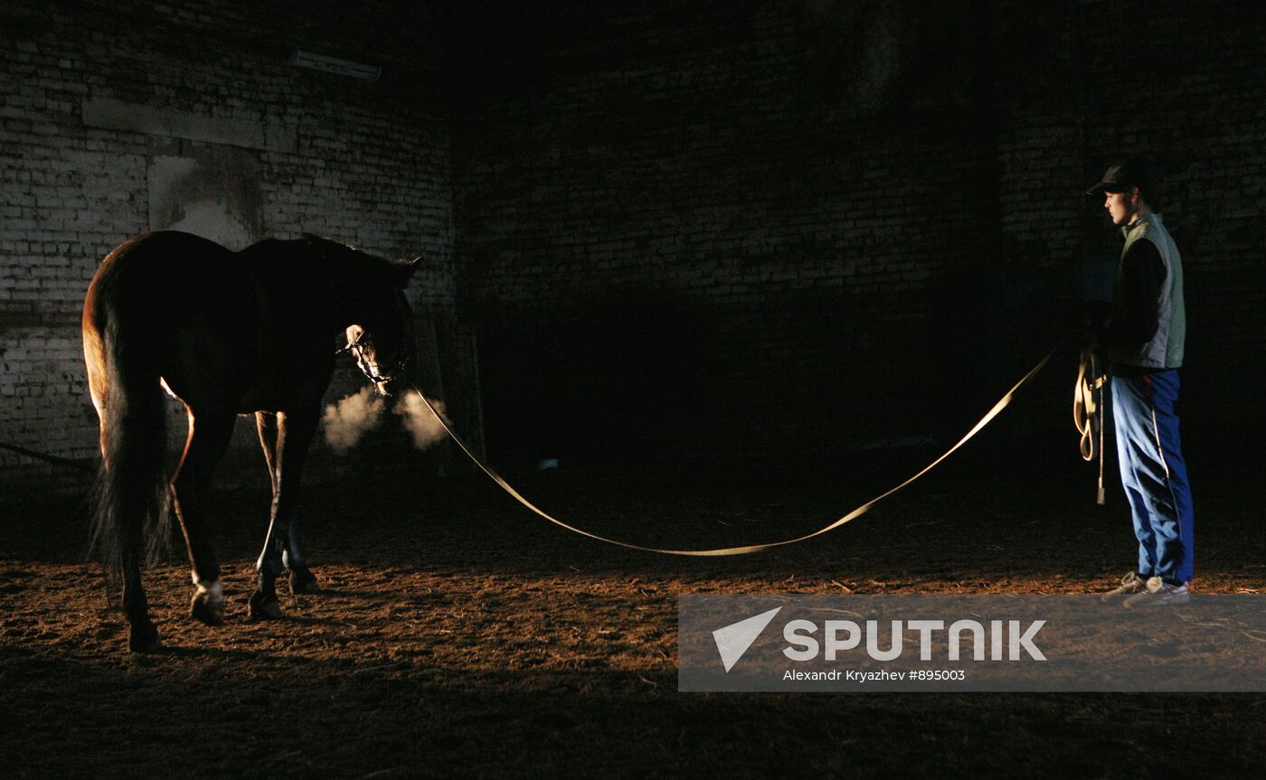 Novosibirsk Equestrian school