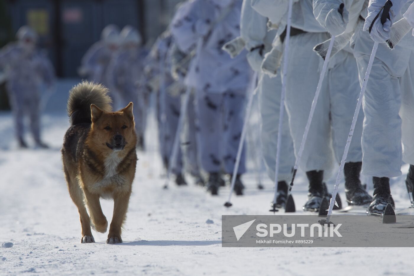 200th independent Pechegensk motorized infantry brigade