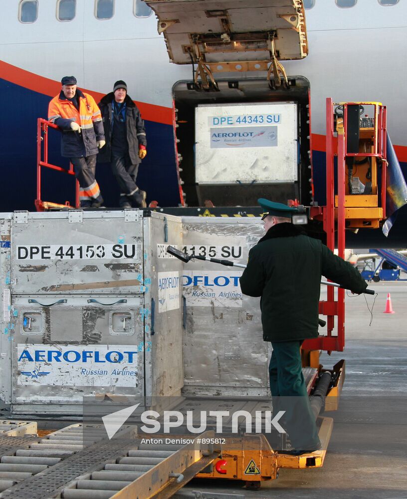 Radiation tests in aircraft and baggage at Sheremetyevo airport