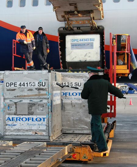 Radiation tests in aircraft and baggage at Sheremetyevo airport