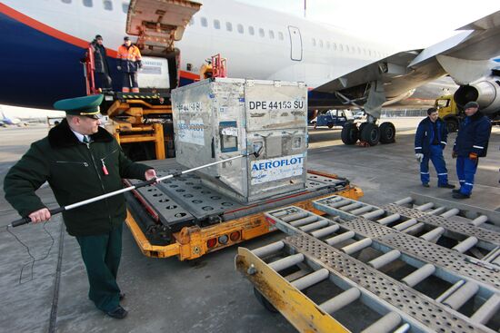 Radiation tests in aircraft and baggage at Sheremetyevo airport