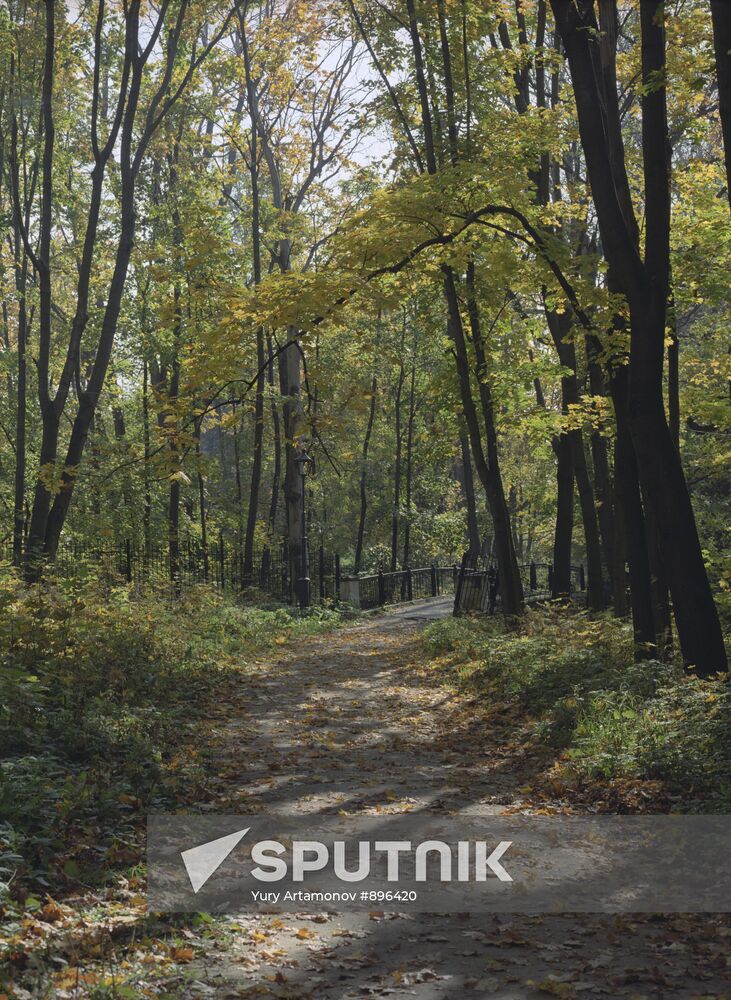 Autumn in Sukhanovo