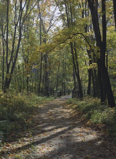 Autumn in Sukhanovo