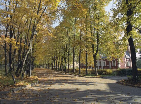 Autumn in Sukhanovo