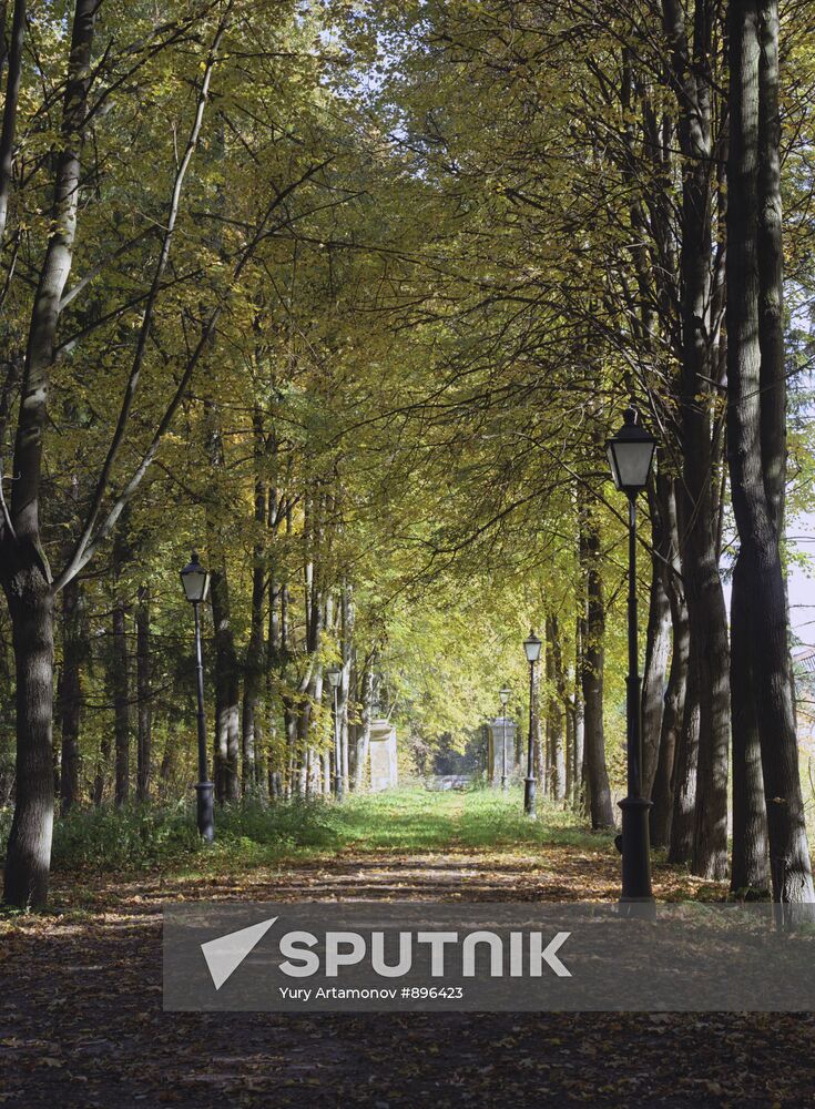 Autumn in Sukhanovo