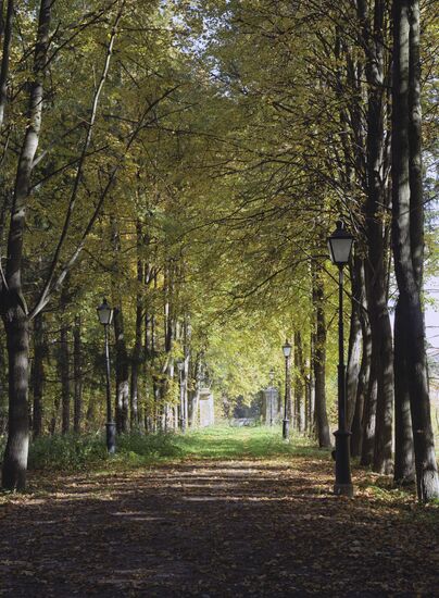 Autumn in Sukhanovo