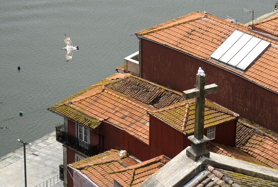 World cities. Porto