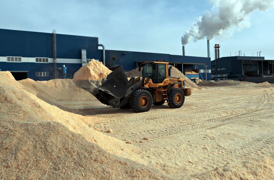 "Lesozavod 25" operations