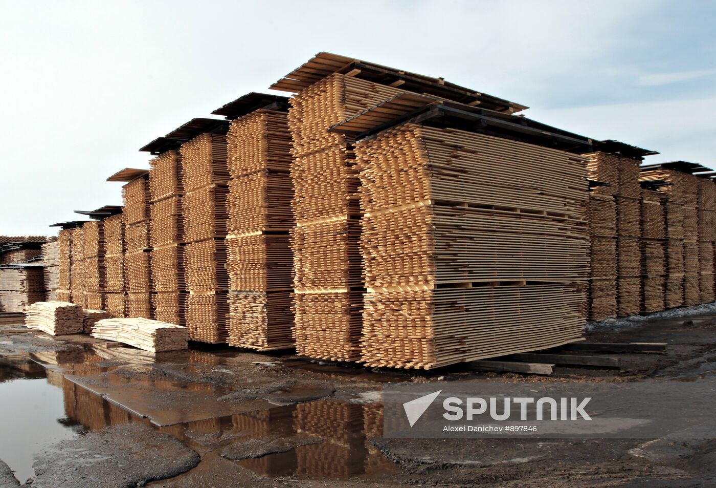 "Lesozavod 25" operations