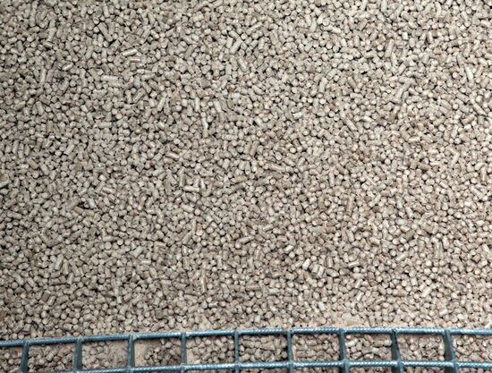 "Lesozavod 25" operations