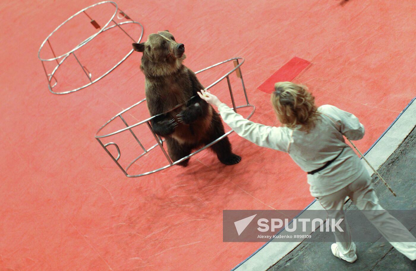 Animal tamer Olga Kudryavtseva