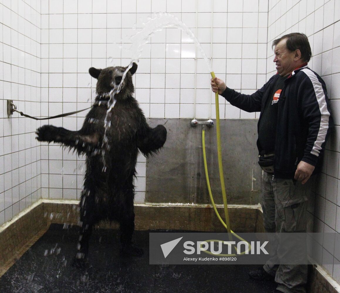 Animal tamer Viktor Kudryavtsev