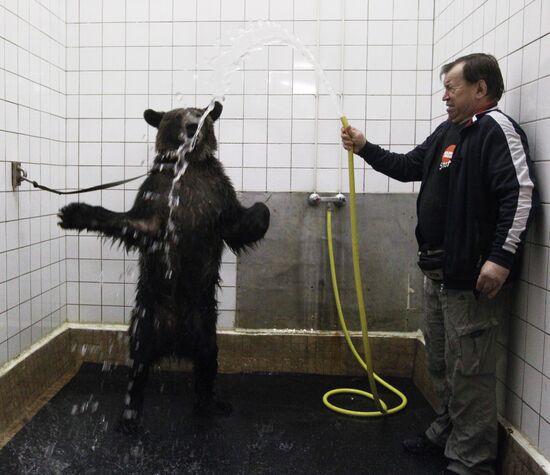 Animal tamer Viktor Kudryavtsev