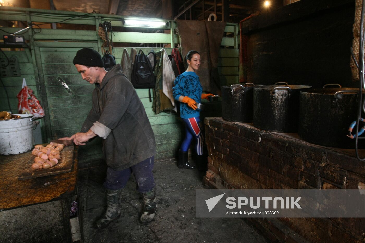 Dog shelter in Novosibirsk