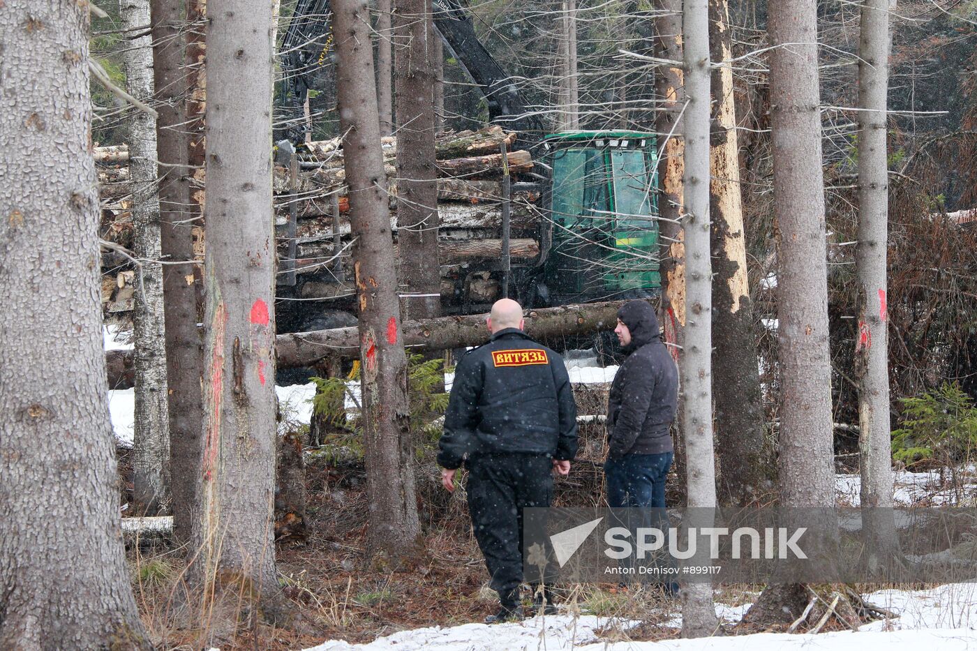Highway construction across Khimki forest begins