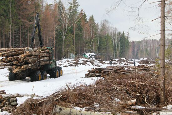 Highway construction across Khimki forest begins