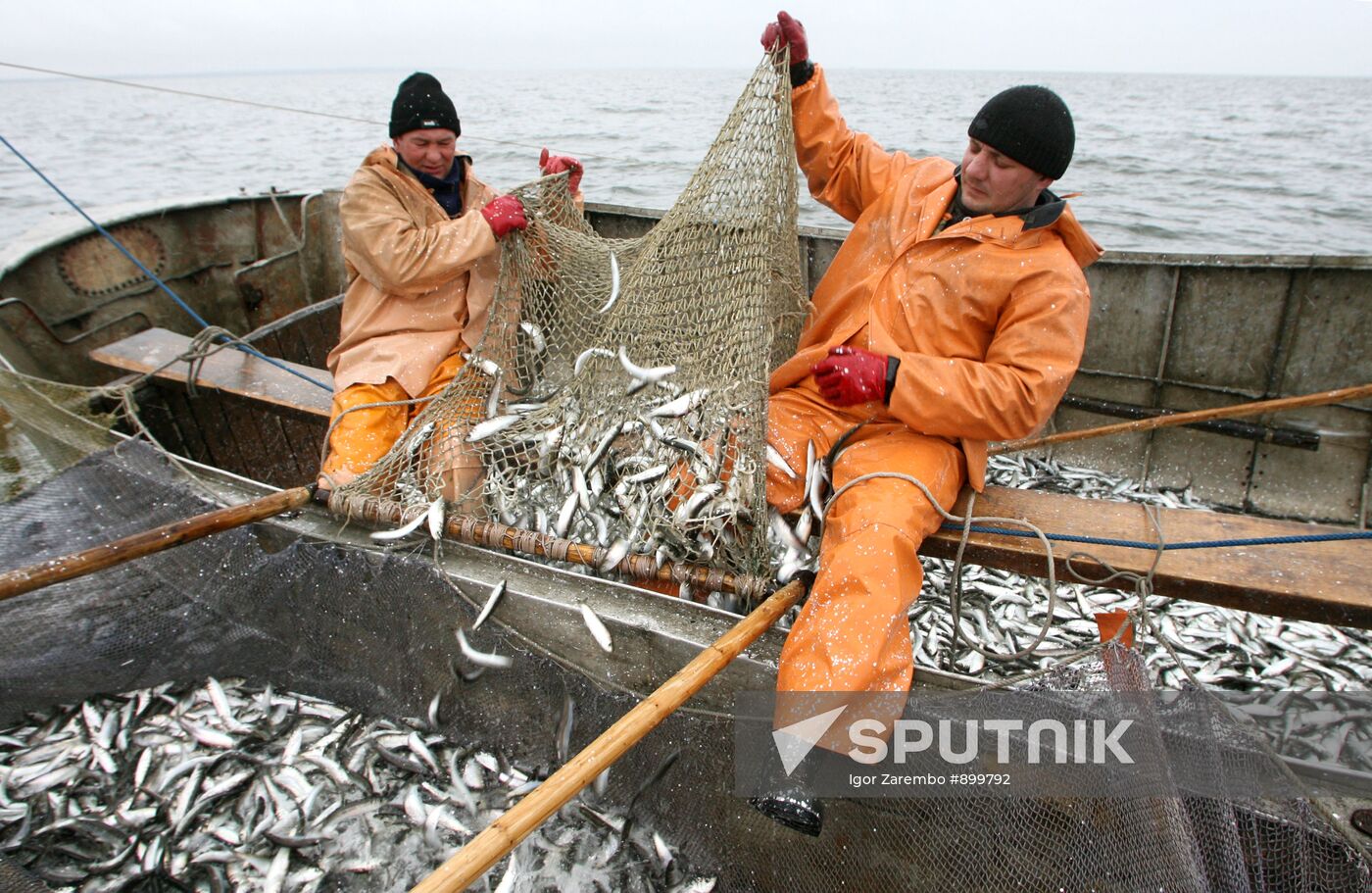 Fishing for Baltic herring in the Gulf of Kaliningrad