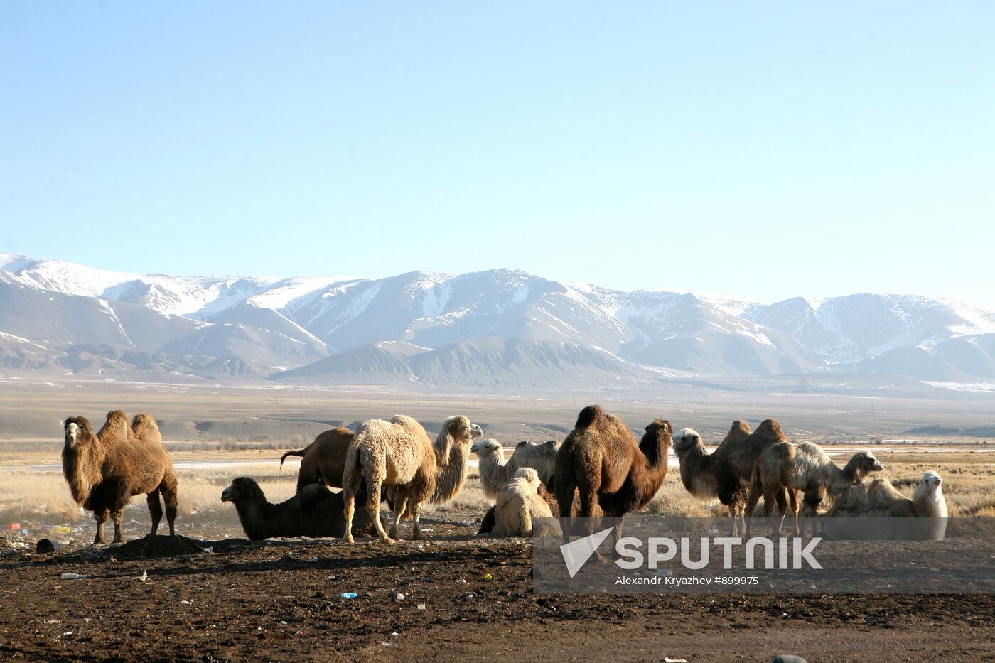 Russia's Regions. Republic of Altai
