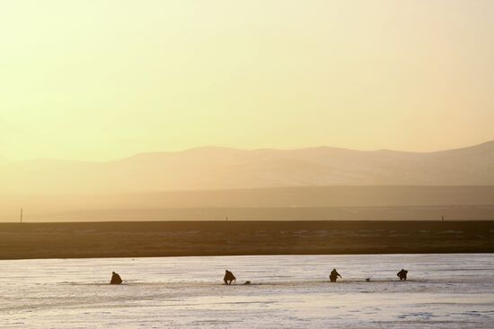 Russia's Regions. Republic of Altai