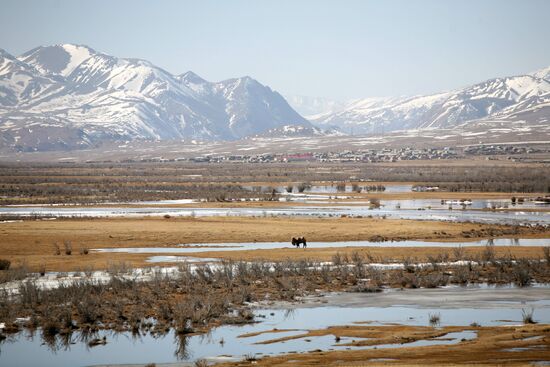 Russia's Regions. Republic of Altai
