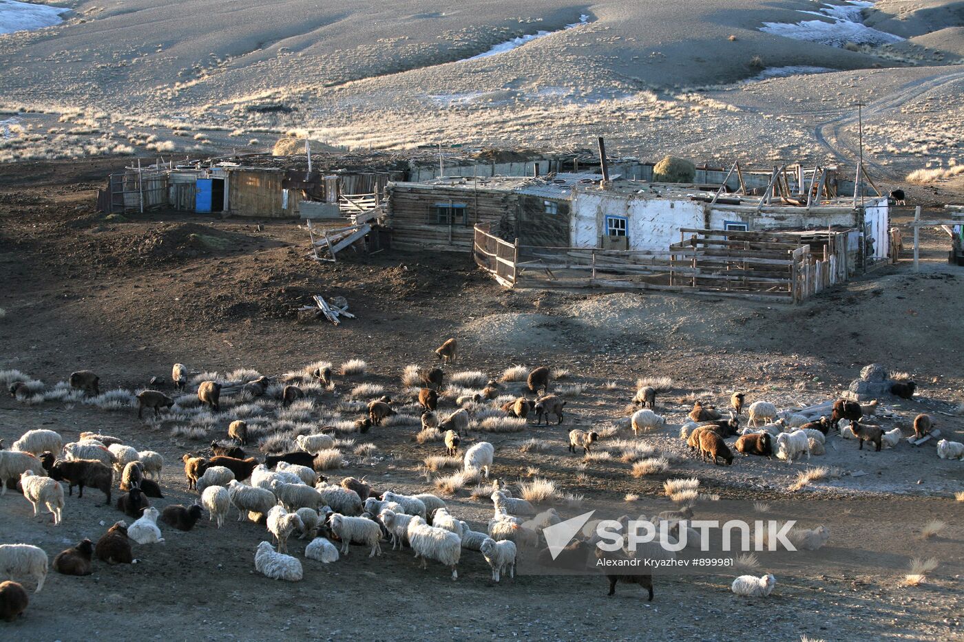 Russia's Regions. Republic of Altai