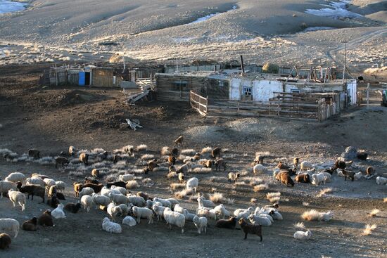 Russia's Regions. Republic of Altai