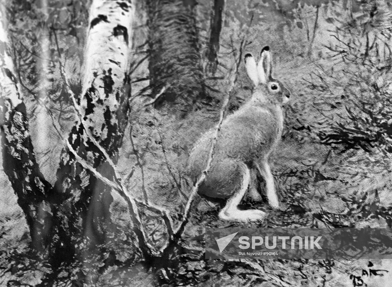 Komarov "A White Hare"