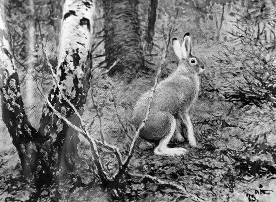 Komarov "A White Hare"