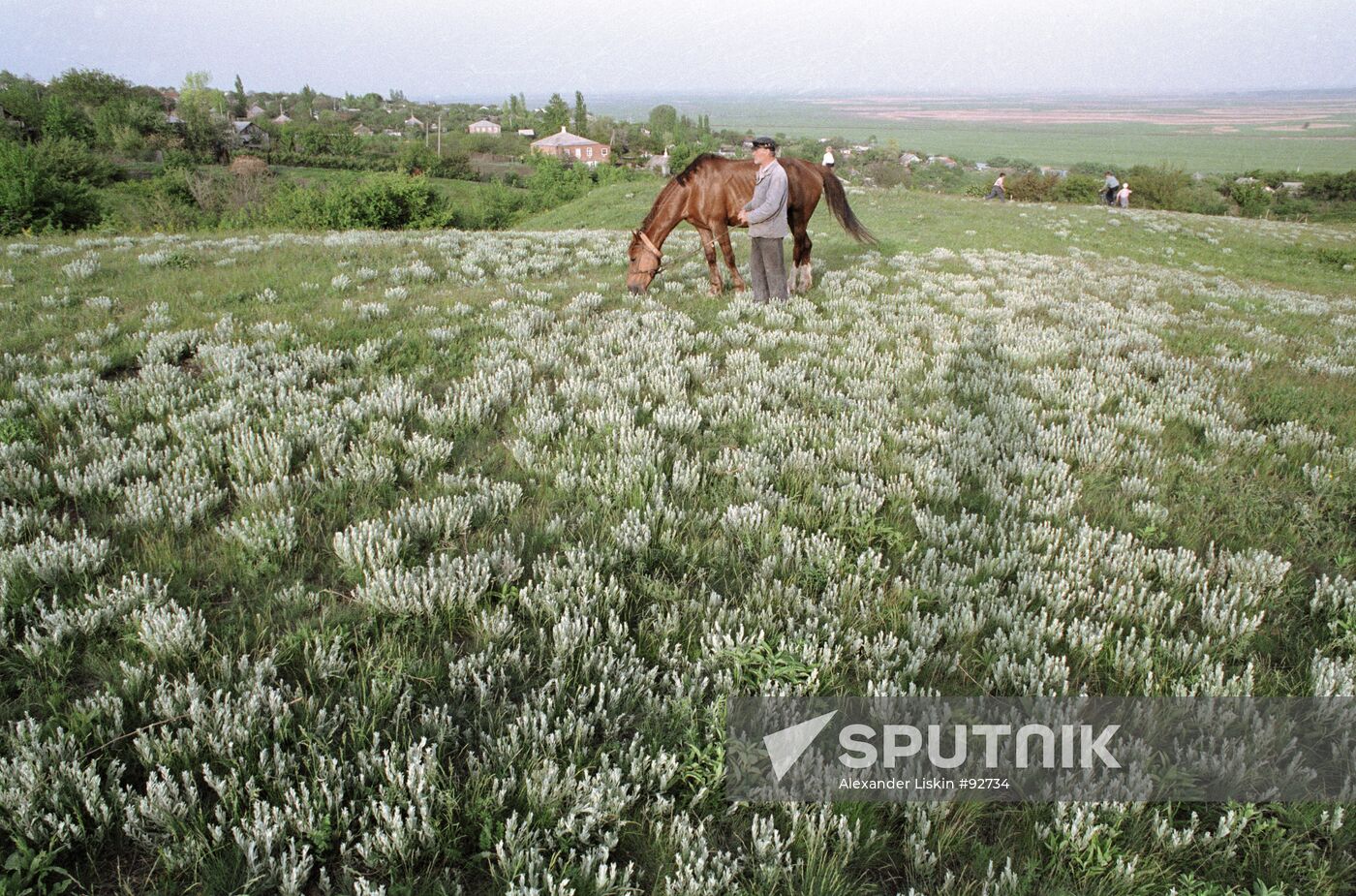 MAN HORSE FIELD