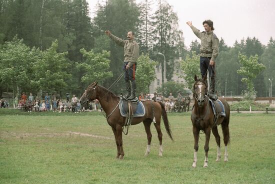 STUNTMEN HORSES