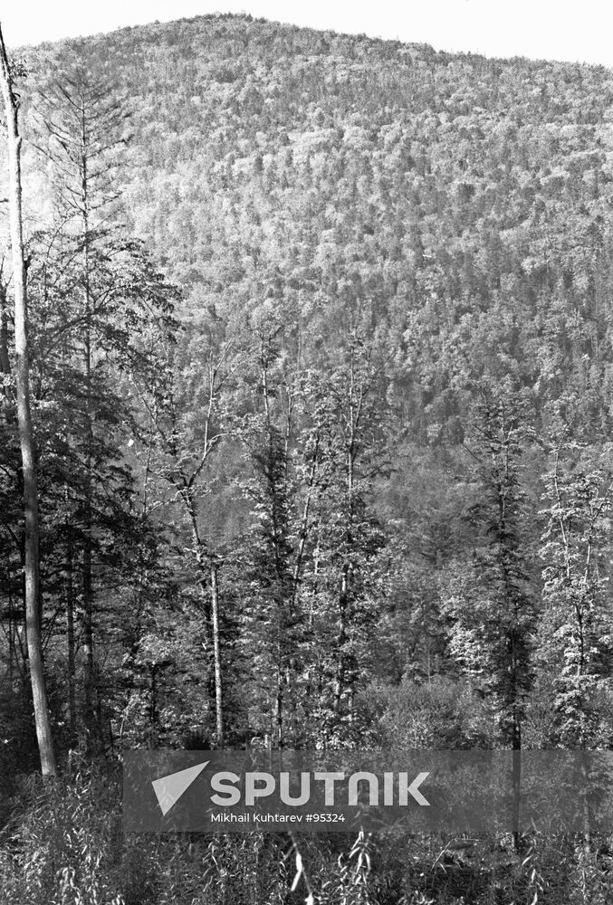 SIKHOTE-ALIN MOUNTAINS
