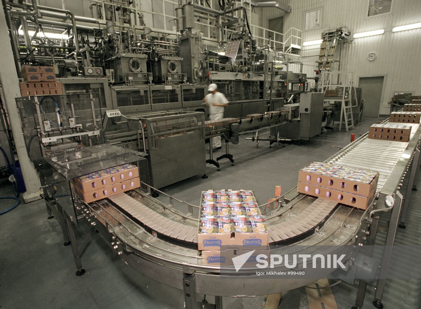 PLANT YOGURT PRODUCTION