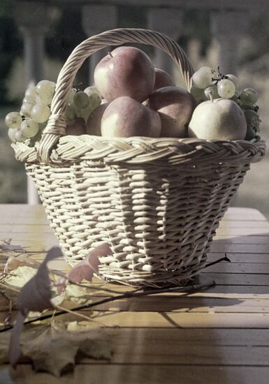 STILL LIFE