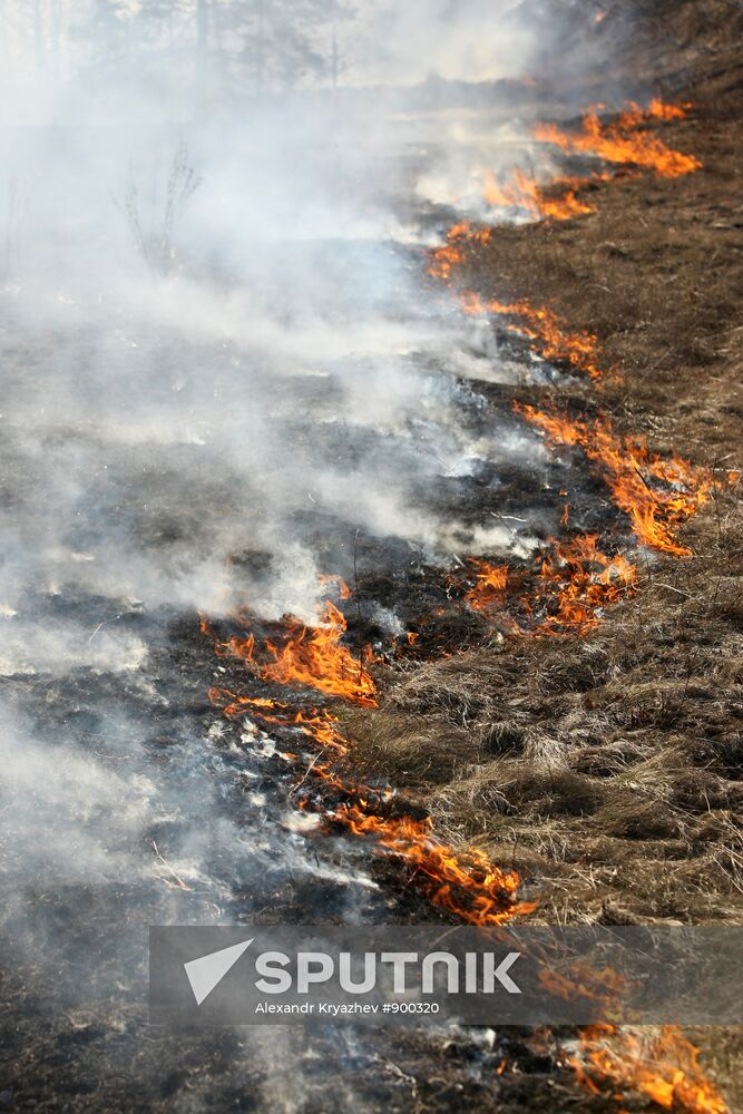 Burning off dry grass in Altai Territory