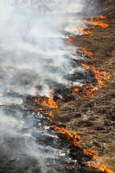 Burning off dry grass in Altai Territory