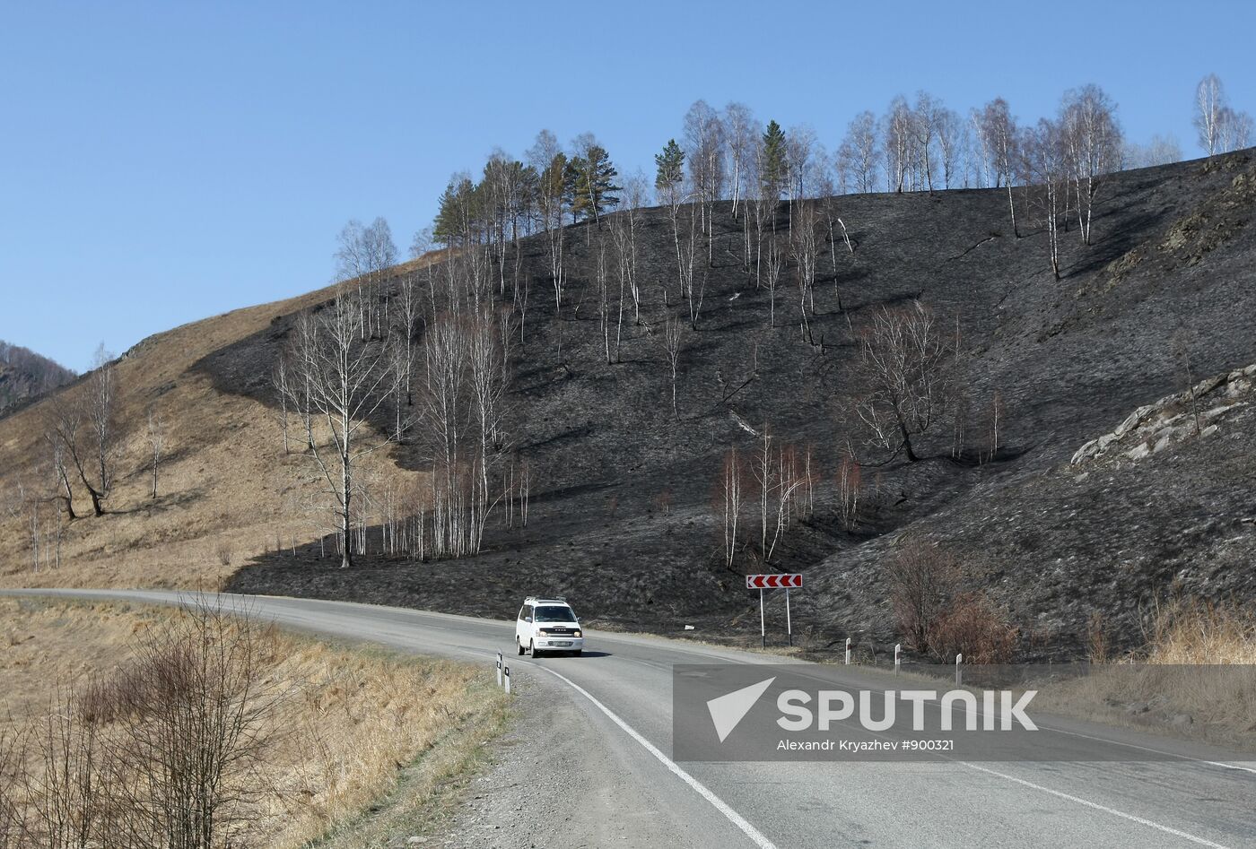 Scorched land after grass fire