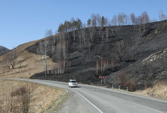 Scorched land after grass fire