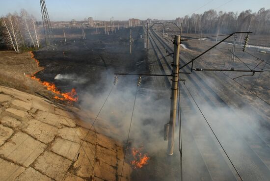 Burning off dry grass in Altai Territory