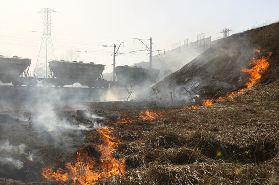 Burning off dry grass in Altai Territory