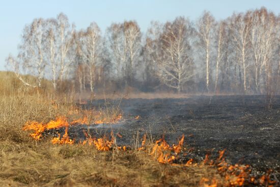 Burning off dry grass in Altai Territory