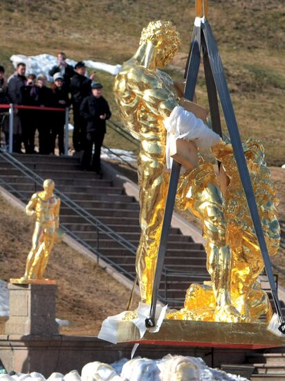 "Samson" fountain assembly after restoration in Petergof