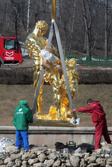 "Samson" fountain assembly after restoration in Petergof